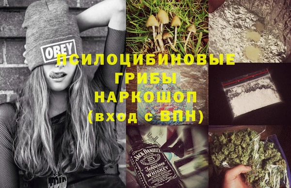 соль ск Балахна